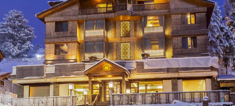 复古贡马酒店(The Vintage Gulmarg)图片