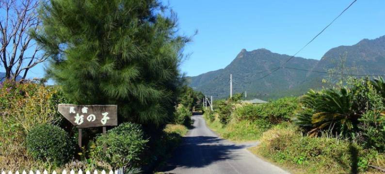 屋久岛SHARE LIFE杉之子旅馆(Yakushima Minsyuku Suginoko)图片