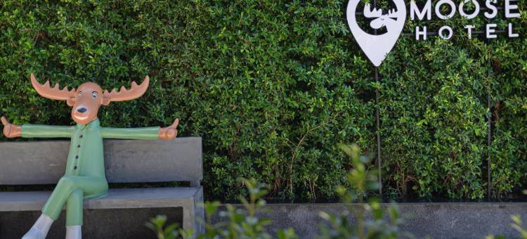 清迈慕思酒店(Moose Hotel Chiangmai)图片