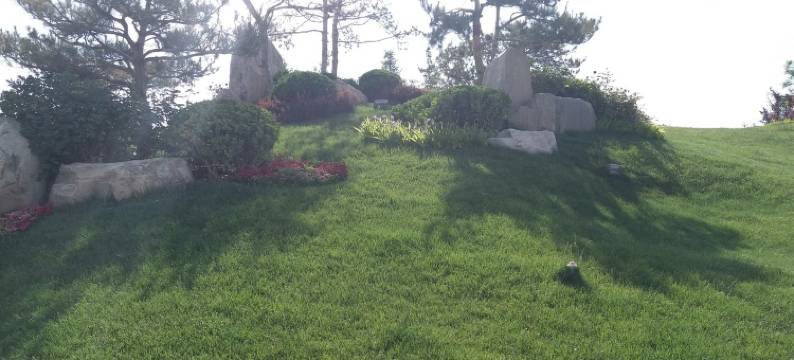 忆涵主题家庭公寓(青石路分店)图片