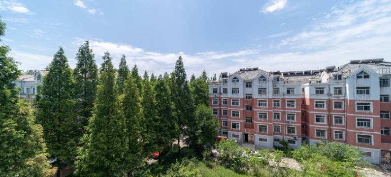 森林公园内林海情深大三居公寓(紫荆花路分店)图片