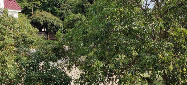 左步村如苑民宿(左联大街分店)图片