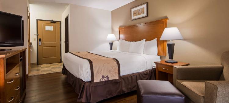 亚历山大贝斯特韦斯特酒店(Best Western Alexandria Inn)图片