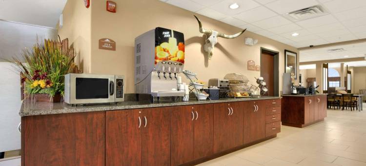 朗德罗克麦客达温德姆酒店(Microtel Inn & Suites by Wyndham Round Rock)图片