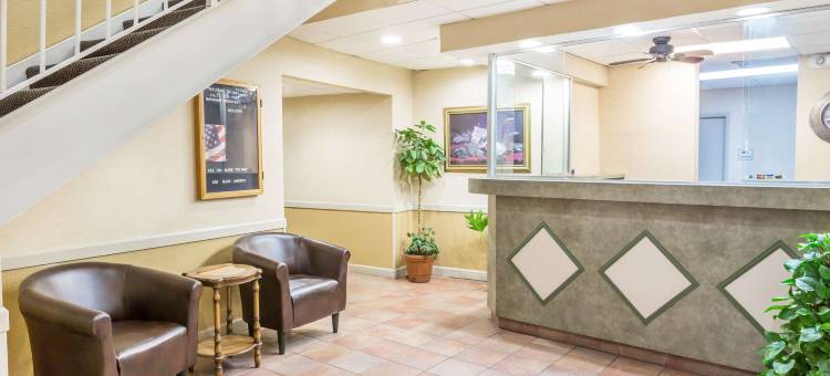 诺克斯维尔市区速8酒店(Super 8 by Wyndham Knoxville Downtown Area)图片