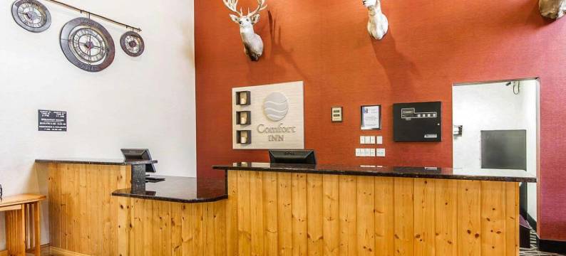 瓦通纳近医学中心舒适酒店(Comfort Inn Owatonna Near Medical Center)图片