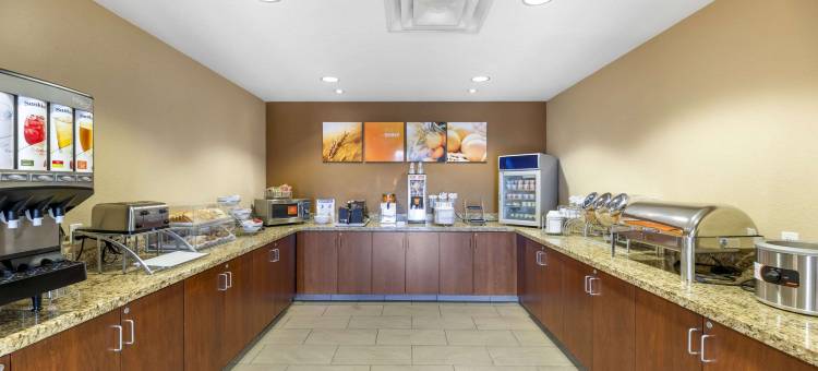 卡尔斯巴德舒适套房酒店(Comfort Suites Carlsbad)图片