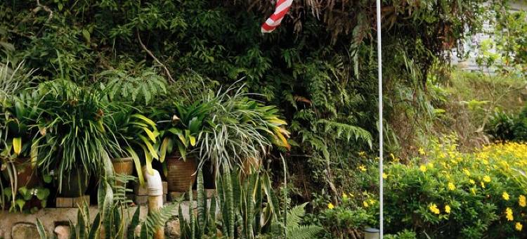 金色小屋(Golden Lodge)图片