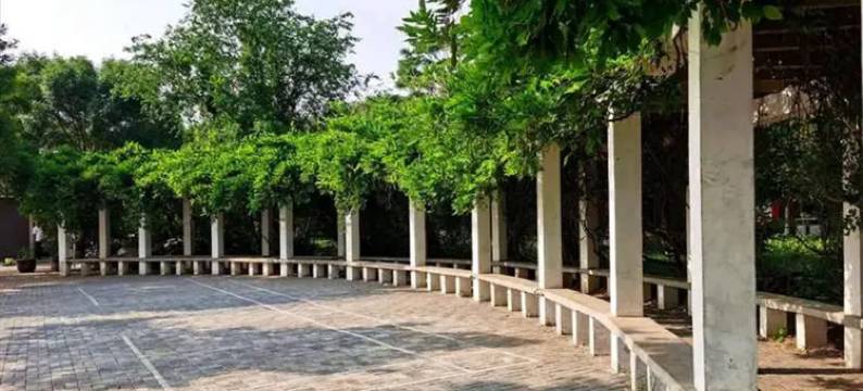 四方木客栈(渤海西路分店)图片