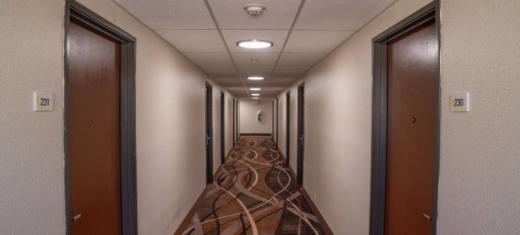 尤马速8酒店(Super 8 by Wyndham Yuma)图片