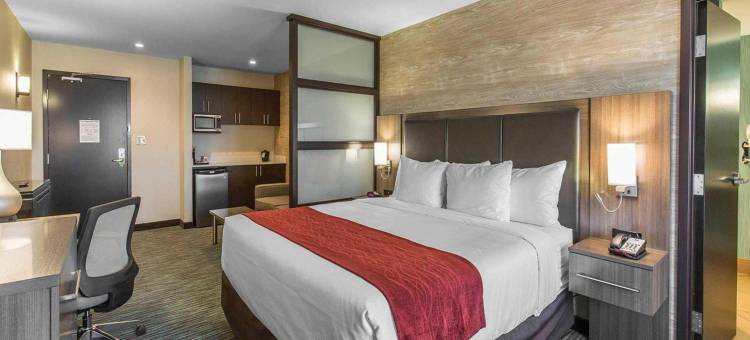 舒适酒店及套房-机场北(Comfort Inn & Suites Airport North)图片
