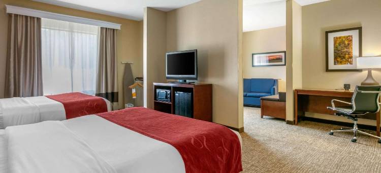 舒适套房酒店(Comfort Suites)图片