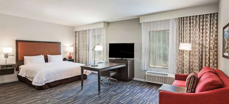 得克萨斯州休斯顿/阿塔斯卡西亚欢朋套房酒店(Hampton Inn & Suites Houston/Atascocita)图片