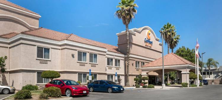 舒适套房酒店(Comfort Suites)图片