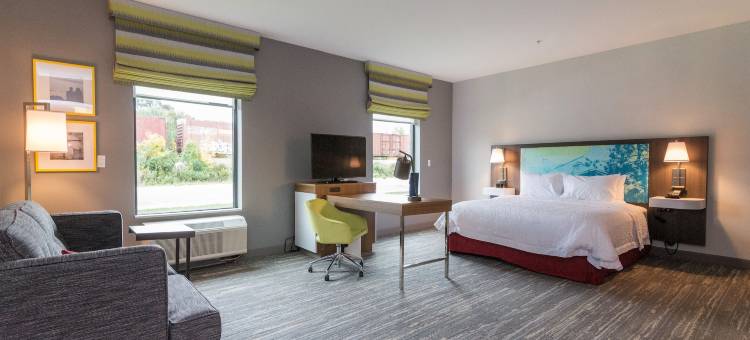 艾伦公园欢朋套房酒店(Hampton Inn & Suites Detroit/Allen Park)图片