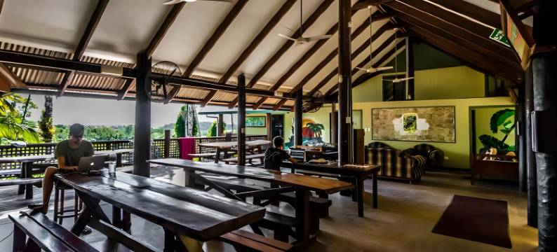 杰卡卢树屋雨林休闲旅馆(Jackaroo Treehouse Rainforest Retreat)图片