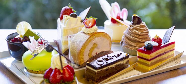 JR德岛克莱蒙特酒店(Jr Hotel Clement Tokushima)图片