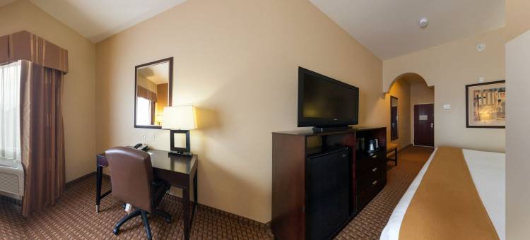 智选假日套房酒店休斯顿 - 阿尔文(Holiday Inn Express & Suites Houston-Alvin)图片