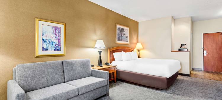 I-25 舒适套房酒店 - 近美国太空港(Comfort Inn & Suites I-25 Near Spaceport America)图片