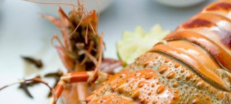 桑给巴尔帕玛斯度假村(The Palms Zanzibar)图片