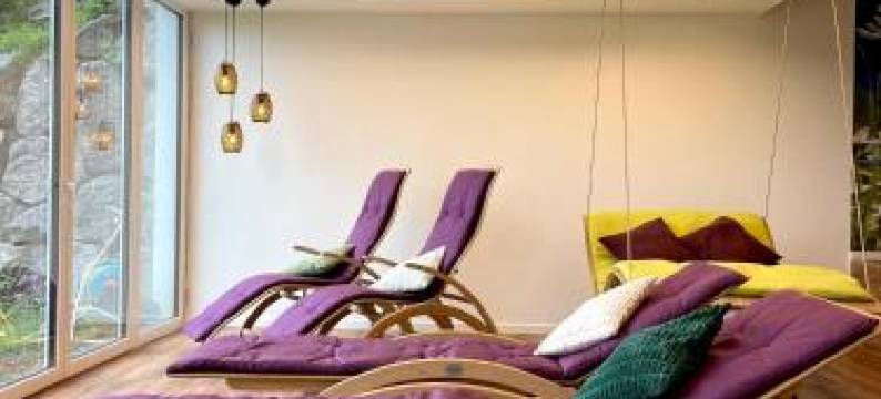 索恩纽豪瑟尔酒店(Landhotel Sonne Neuhäusle)图片