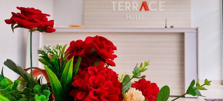 露台酒店(Terrace Hotel)图片