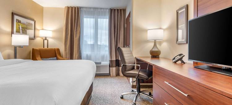 舒适套房酒店(Comfort Inn & Suites)图片