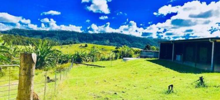 Hilltop Retreat - Best of Both Worlds: Beach/Farm图片