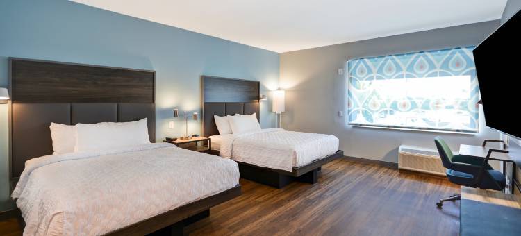 科珀斯克里斯蒂南帕德里岛希尔顿Tru酒店(Tru by Hilton Corpus Christi South Padre Island Dr)图片