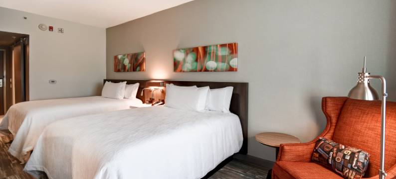 西兰辛希尔顿花园酒店(Hilton Garden Inn Lansing/West)图片