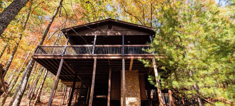 徒步/垂钓、托科阿河；热水浴缸、宠物友好山间木屋(Mountain Cabin Near Hikes/Fishing; Hot Tub, Dog-Friendly, Toccoa River)图片