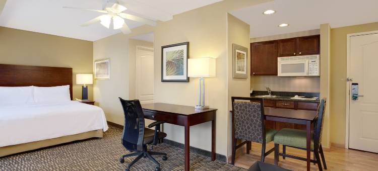 坦帕-布兰登Homewood Suites by Hilton(Homewood Suites by Hilton Tampa-Brandon)图片