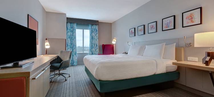 坦帕西北奥尔兹马希尔顿花园酒店(Hilton Garden Inn Tampa Northwest/Oldsmar)图片