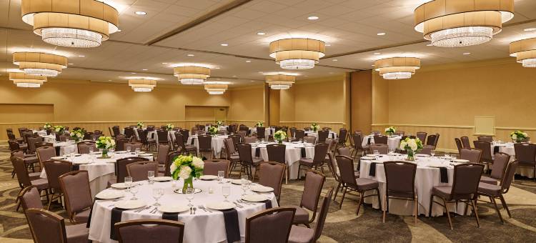 希尔顿堪萨斯城机场酒店(Hilton Kansas City Airport)图片