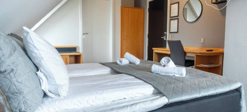 阿森斯酒店(Hotel Assens)图片