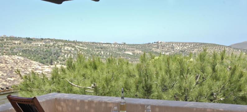 斯卡莱亚房地产住宅(Scalarea Estate Residences)图片