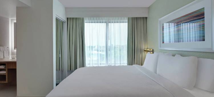 杰克逊维尔 SpringHill Suites 酒店(SpringHill Suites Jacksonville)图片