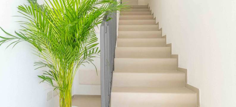 诺瓦 - 豪华房间和公寓(Nuova -Luxury Rooms & Apartment-)图片