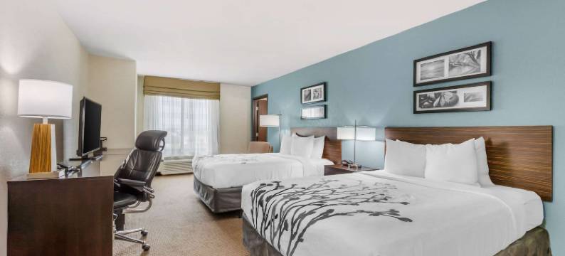 埃姆斯舒眠套房酒店-近ISU校园(Sleep Inn & Suites Ames Near Isu Campus)图片