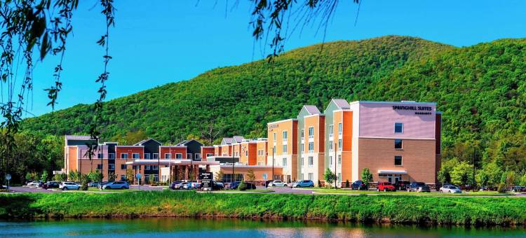菲什基尔SpringHill Suites酒店(SpringHill Suites Fishkill)图片