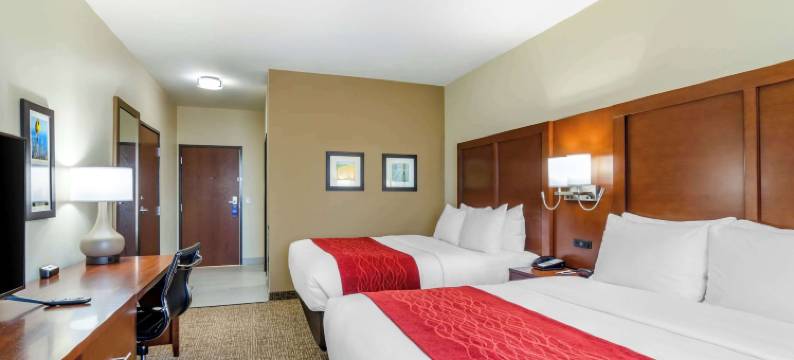 萨莱纳北舒适套房酒店(Comfort Inn & Suites Salina North)图片