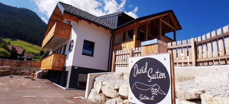 大卫 休息套房(David Suiten)图片