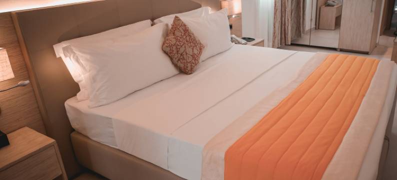 铂金椰子酒店(Platinum Cocotiers Hotel)图片