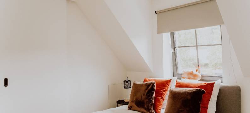 兰斯洛(Ramslo)图片