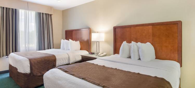 美茵斯坦套房酒店罗阿诺克机场(MainStay Suites Airport)图片