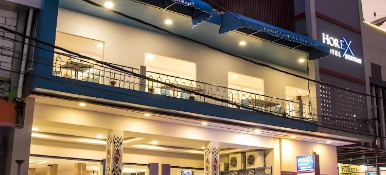 Horex(地平线快车)仙谷酒店(Horex (Horison Express) Hotel Sentani)图片