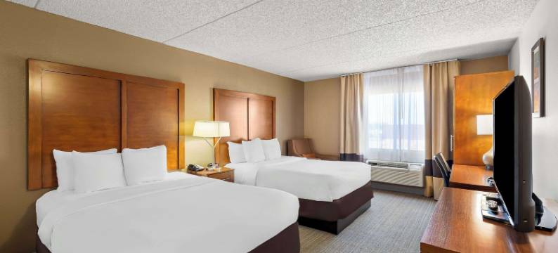 舒适套房酒店(Comfort Inn & Suites Near Kino Sports Complex)图片