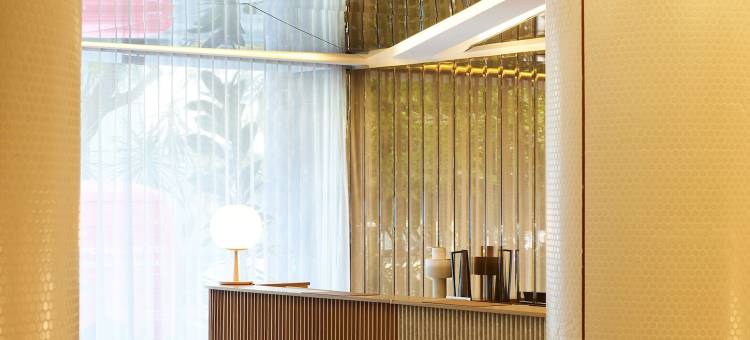 墨西哥城蒙德里安康德萨酒店(Mondrian Mexico City Condesa)图片