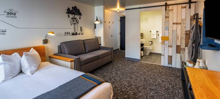 麻雀旅馆(The Sparrow)图片