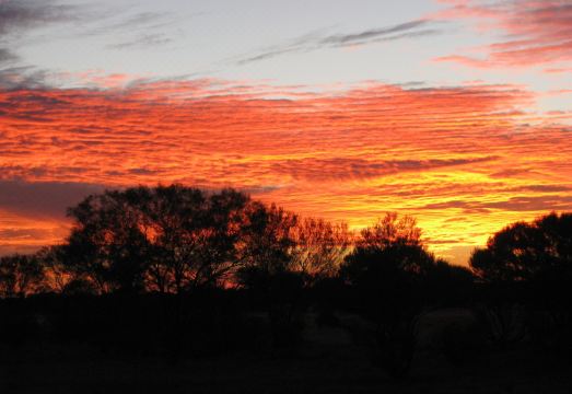 Coranda Lodge Hotel Overview